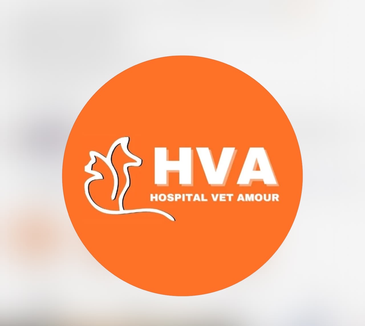 Logo HVA — Hospital Vet Amour